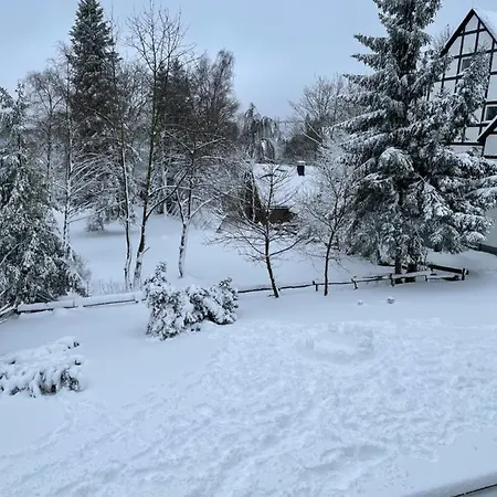 Am Schlossberg 8 Kilometer Bis Winterberg * ميدهباخ