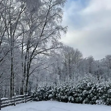 Am Schlossberg 8 Kilometer Bis Winterberg شقة