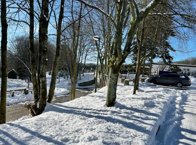 Apartment Am Schlossberg 8 Kilometer Bis Winterberg Medebach