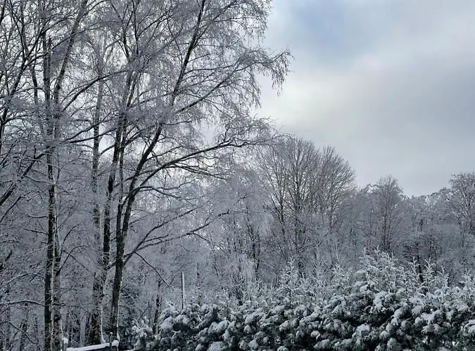 Am Schlossberg 8 Kilometer Bis Winterberg Appartement